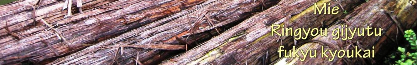 任意の名称を入力してください。